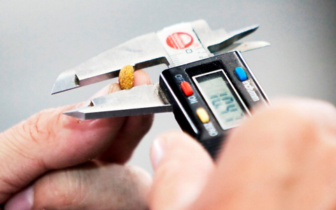 Wellworth Contracting LLC